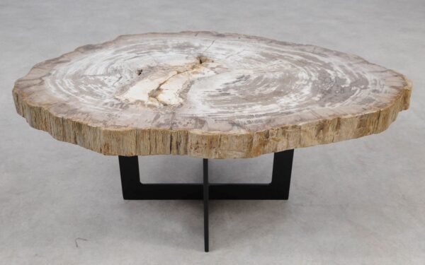 Coffee table petrified wood 55235