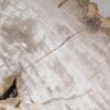 Coffee table petrified wood 55235