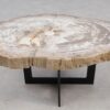 Coffee table petrified wood 55236