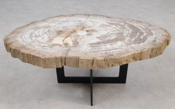 Coffee table petrified wood 55236