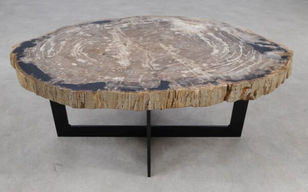 Coffee table petrified wood 55238