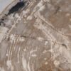 Coffee table petrified wood 55238