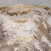 Coffee table petrified wood 55238