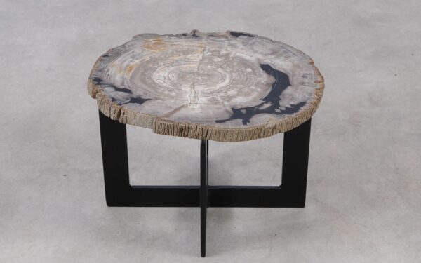 Coffee table petrified wood 55239