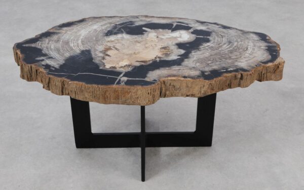 Coffee table petrified wood 55240