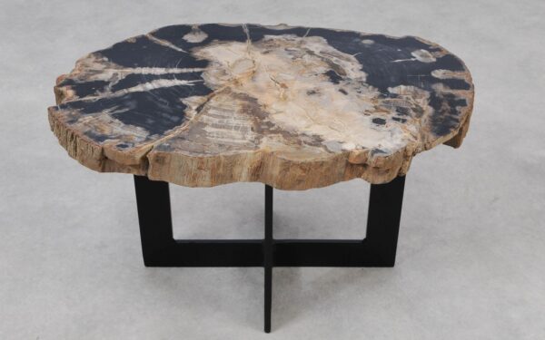 Coffee table petrified wood 55241