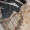Coffee table petrified wood 55241