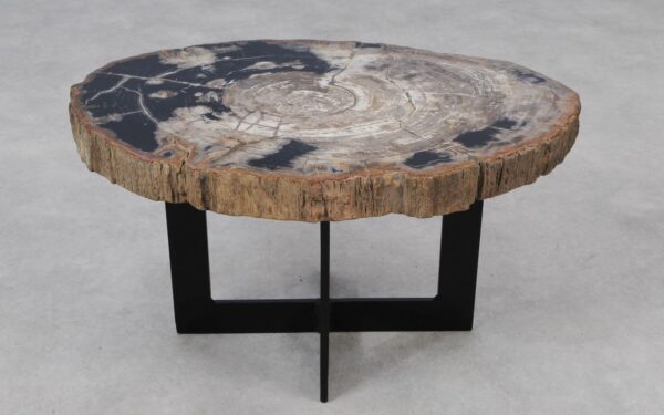 Coffee table petrified wood 55242