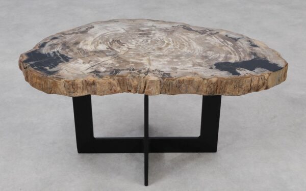 Coffee table petrified wood 55243