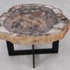 Coffee table petrified wood 55244
