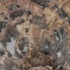 Coffee table petrified wood 55244