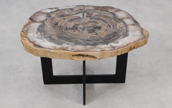 Coffee table petrified wood 55245