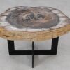 Coffee table petrified wood 55246