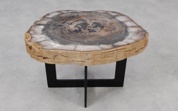 Coffee table petrified wood 55246