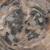 Coffee table petrified wood 55246