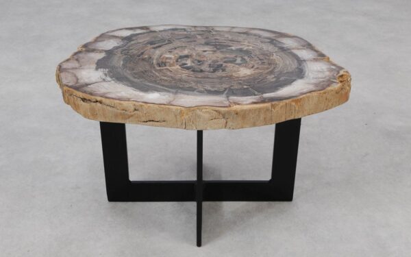 Coffee table petrified wood 55249