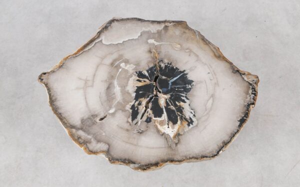 Coffee table petrified wood 55251