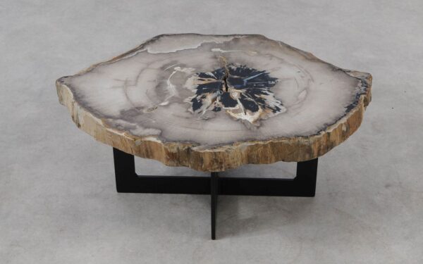 Coffee table petrified wood 55251