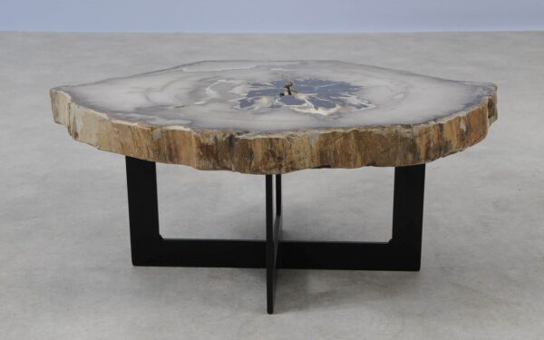 Coffee table petrified wood 55251