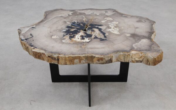 Coffee table petrified wood 55252