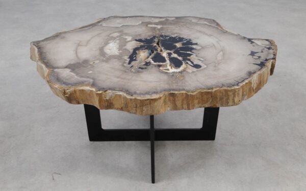 Coffee table petrified wood 55253