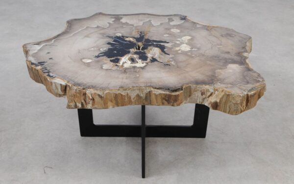 Coffee table petrified wood 55254