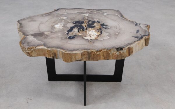 Coffee table petrified wood 55255