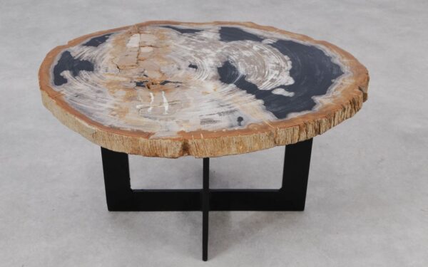 Coffee table petrified wood 55257