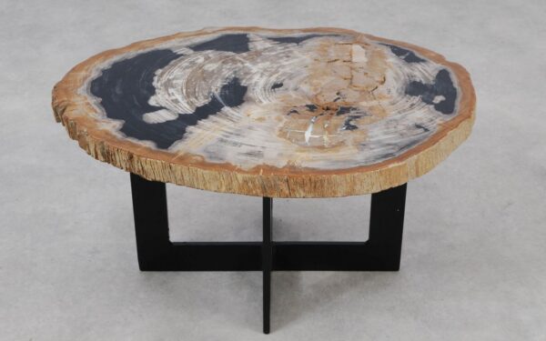 Coffee table petrified wood 55260