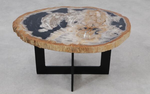 Coffee table petrified wood 55260