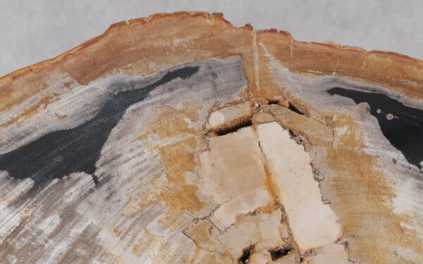 Coffee table petrified wood 55260