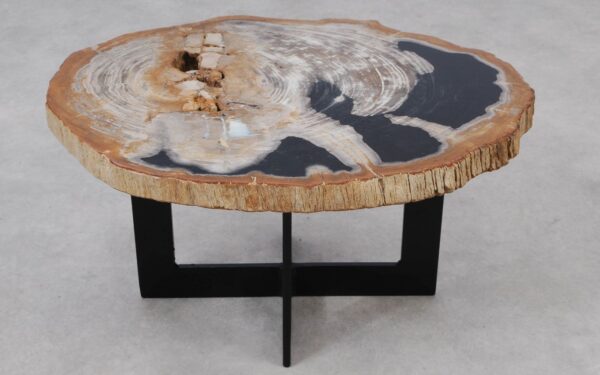 Coffee table petrified wood 55261