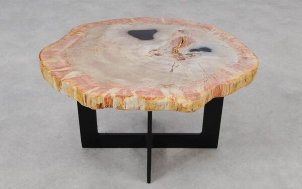 Coffee table petrified wood 55262