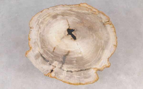 Coffee table petrified wood 55263