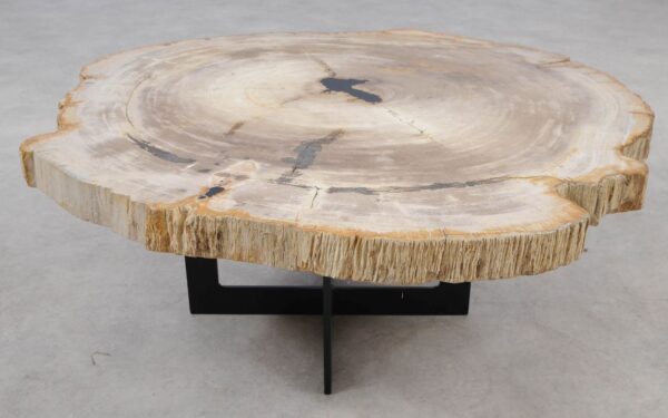 Coffee table petrified wood 55263