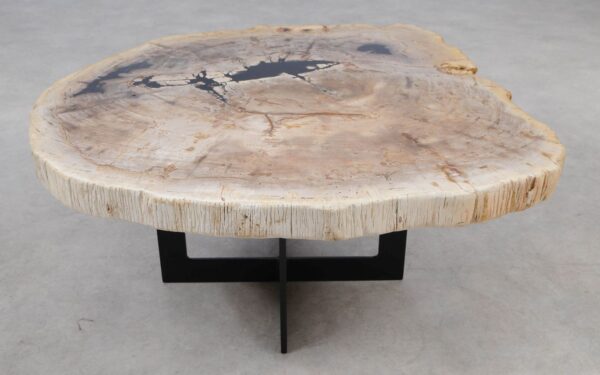 Coffee table petrified wood 55264