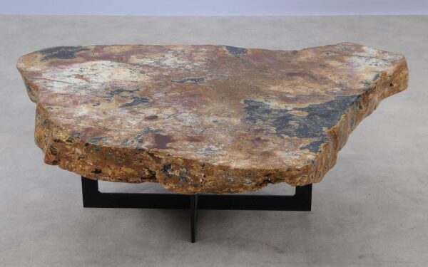 Coffee table petrified wood 55265