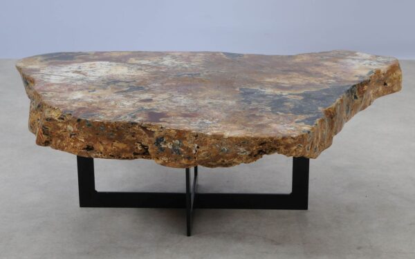 Coffee table petrified wood 55265