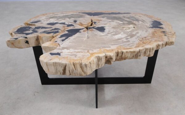 Coffee table petrified wood 55289