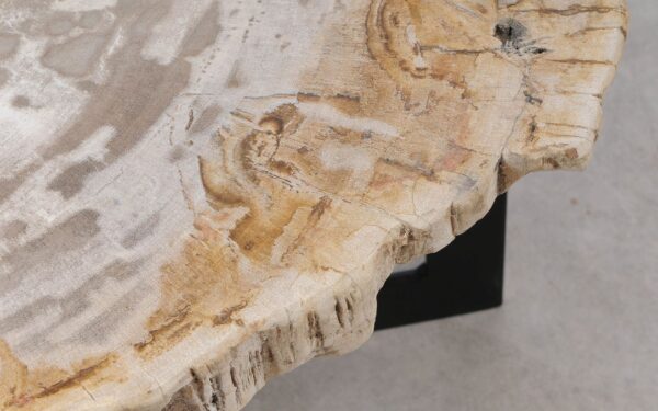 Coffee table petrified wood 55289