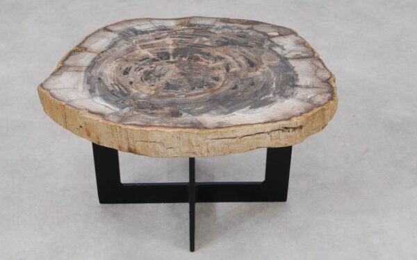 Coffee table petrified wood 55290