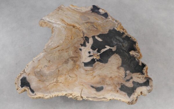 Coffee table petrified wood 55291