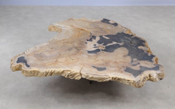 Coffee table petrified wood 55291