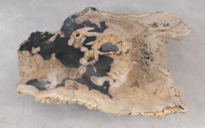 Coffee table petrified wood 55292