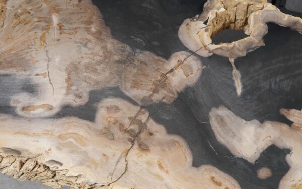 Coffee table petrified wood 55292