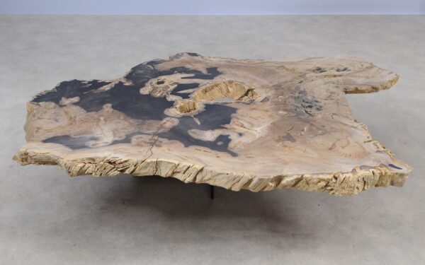 Coffee table petrified wood 55292