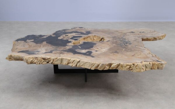 Coffee table petrified wood 55292