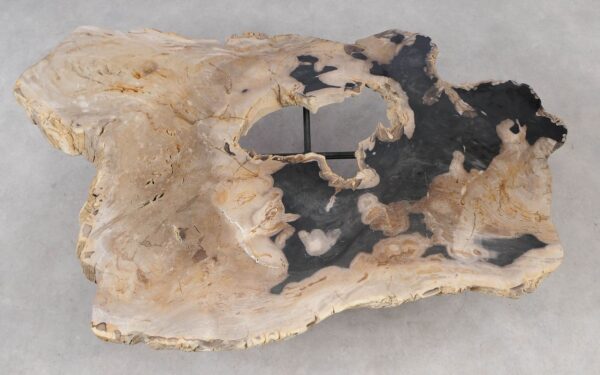 Coffee table petrified wood 55293