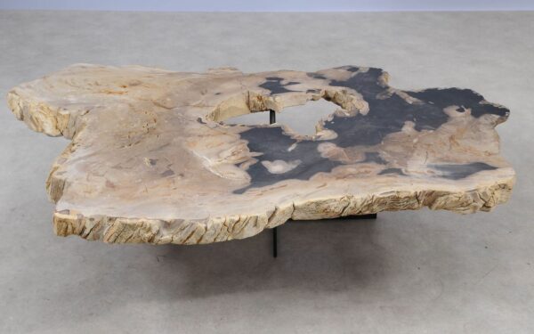 Coffee table petrified wood 55293