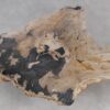 Coffee table petrified wood 55294